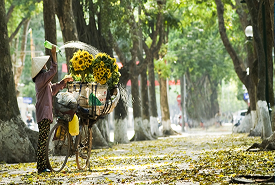 Hanoi city & cooking class 01 day trip